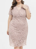 robes-dentelle-grande-taille-robe-de-soiree-banquet